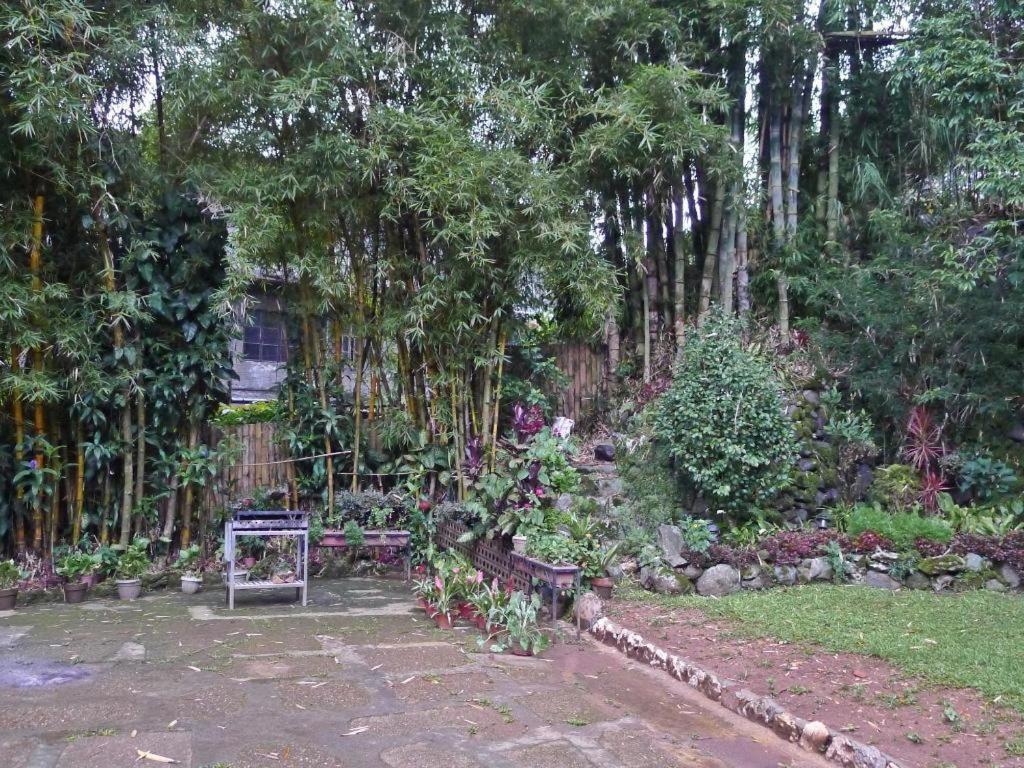 Mountain Lodge And Restaurant Baguio City Eksteriør billede